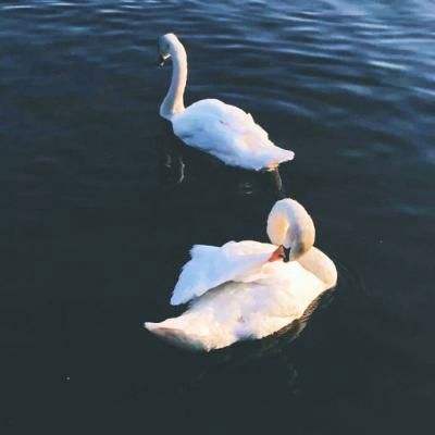 开云注册·官方网站截图