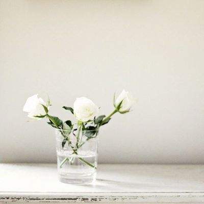 澳门威斯人手机app下载