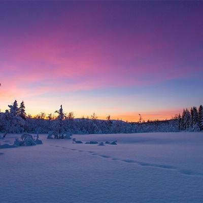 168极速赛车官网计划