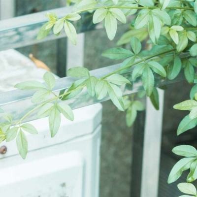 明昇app在线下载